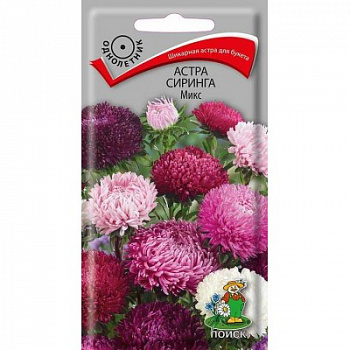 Астра Сиринга Микс Астра Сиринга Микс