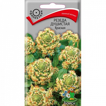 Резеда душистая Красная