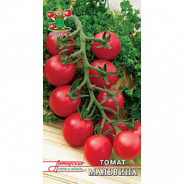 Томат Мальвина