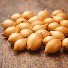 Лук-севок Стурон