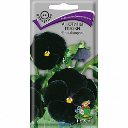 Анютины глазки Черный король