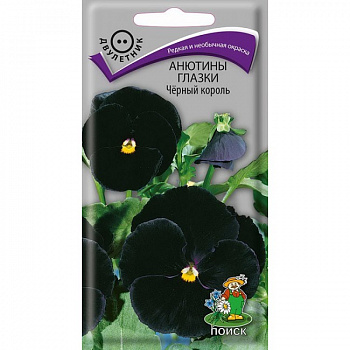 Анютины глазки Черный король