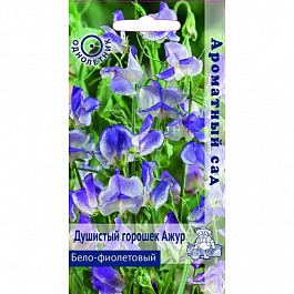 Душистый горошек Бело-фиолетовый