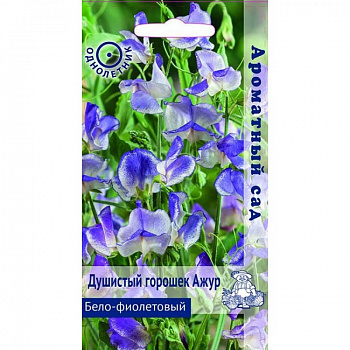 Душистый горошек Бело-фиолетовый