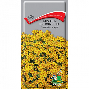 Бархатцы тонколистные Золотой самоцвет
