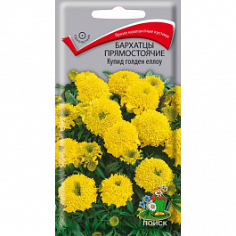 Бархатцы прямостоячие Купид голден еллоу
