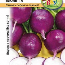 Редис Виолетта
