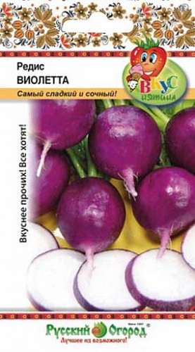 Редис Виолетта