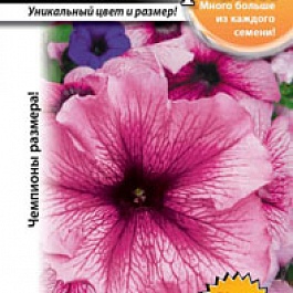Петуния F1 Русский размер Гулливер