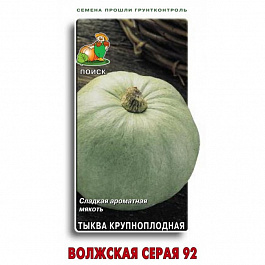 Тыква крупноплодная Волжская серая 92