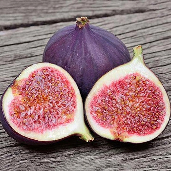 Инжир Айс Кристал