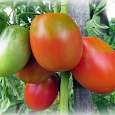 Томат Огонь F1