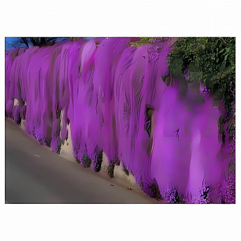 Аубриета (Обриета) дельтовидная Cascade Purple