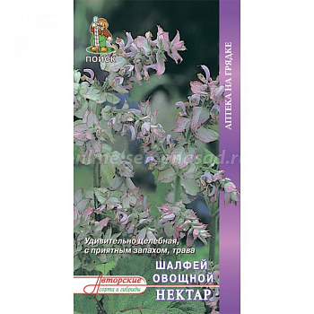 Шалфей овощной Нектар