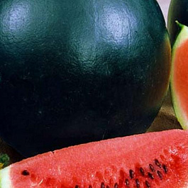 Арбуз Сибирские огни