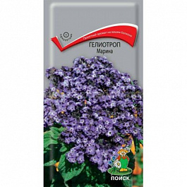 Гелиотроп Марина