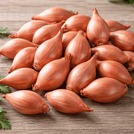 Лук-севок Розана