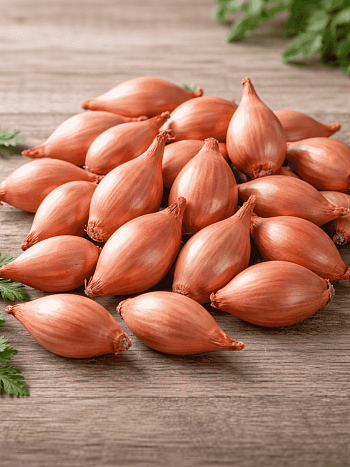 Лук-севок Розана