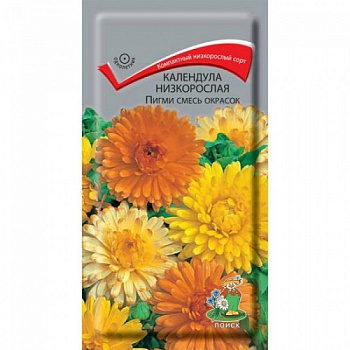 Календула низкорослая Пигми смесь окрасок