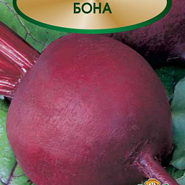 Свёкла столовая Бона