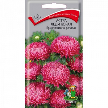 Астра Леди Корал Бриллиантово-розовая