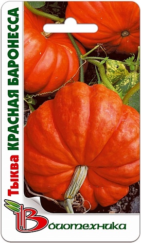 Тыква  Красная Баронесса