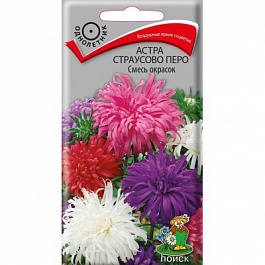 Астра страусово перо Смесь окрасок