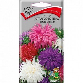 Астра страусово перо Смесь окрасок