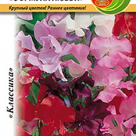Душистый горошек Формула любви
