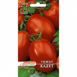 Томат Кадет