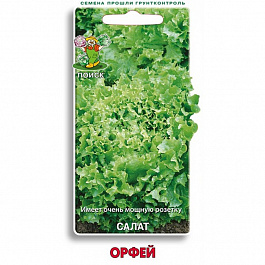 Салат Орфей