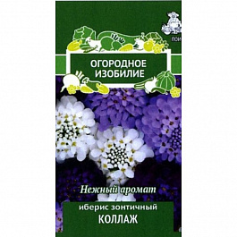 Иберис зонтичный	Коллаж