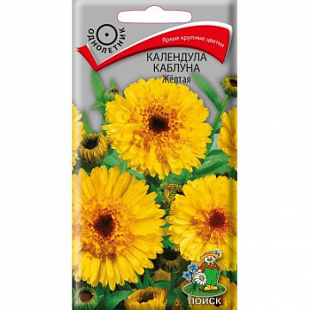 Календула каблуна Желтая