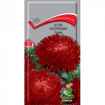 Астра коготковая Сорель
