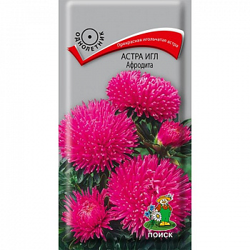 Астра игл Афродита