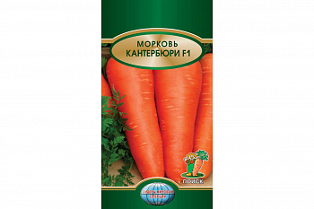 Морковь Кантербюри F1