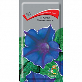 Ипомея Пикоти синяя