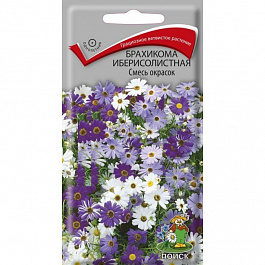 Брахикома иберисолистная Смесь окрасок
