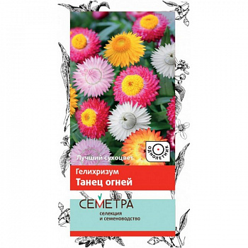 Гелихризум Танец огней