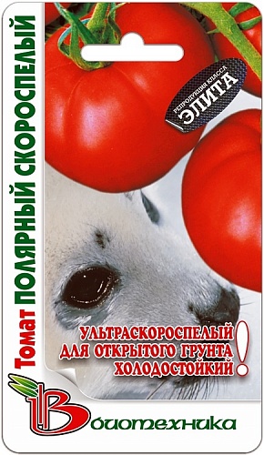 Томат (Помидор) обыкновенный Полярный скороспелый