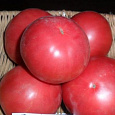 Томат Румянец