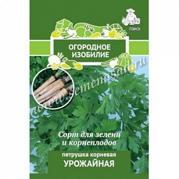 Петрушка Урожайная