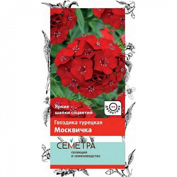 Гвоздика Турецкая Москвичка