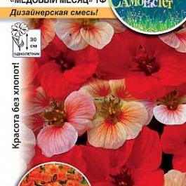 Настурция (Капуцин) обыкновенная Медовый месяц, смесь