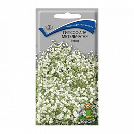 Гипсофила метельчатая Белая