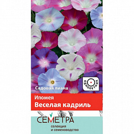 Ипомея Веселая кадриль