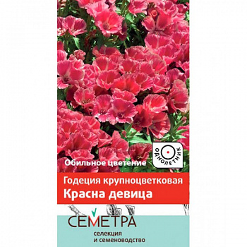 Годеция крупноцветковая Красна девица
