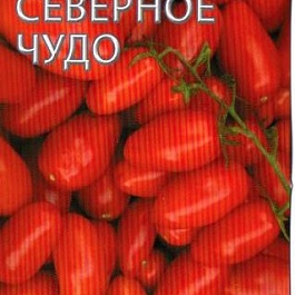 Томат (Помидор) обыкновенный Северное чудо