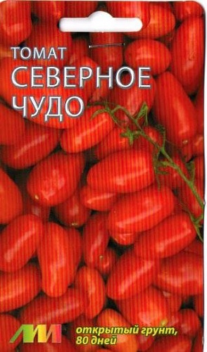 Томат (Помидор) обыкновенный Северное чудо