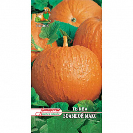 Тыква крупноплодная Большой Макс Тыква крупноплодная Большой Макс